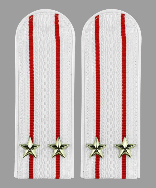 Погоны полиции белые со звездой подполковник