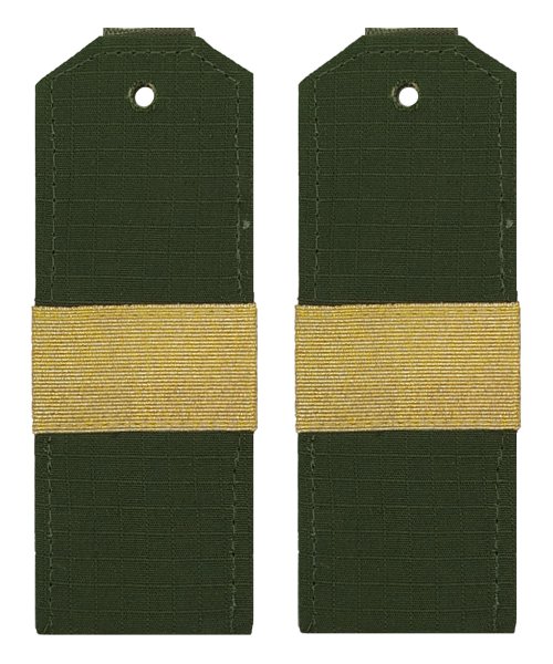 Погоны офисные старший сержант &mdash; 1