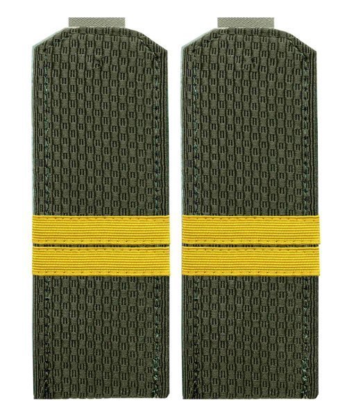 Погоны китель ВС младший сержант