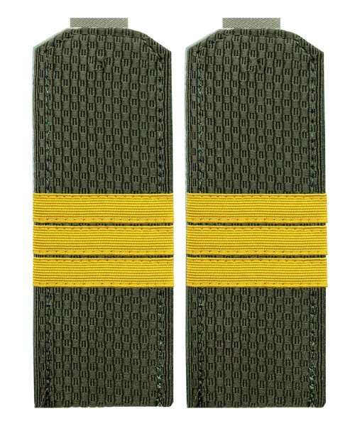 Погоны китель ВС сержант