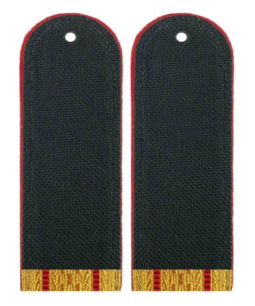 Погоны полиции парадные два просвета &mdash; 2