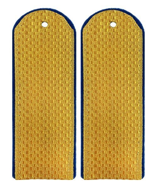 Погоны парадные юстиции рядовой &mdash; 1