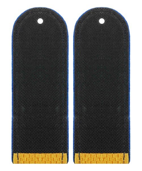 Погоны парадные юстиции рядовой &mdash; 2