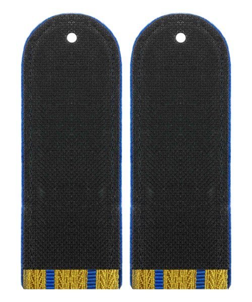 Погоны парадные юстиции два просвета &mdash; 2