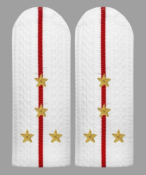 Погоны полиции белые капитан золото