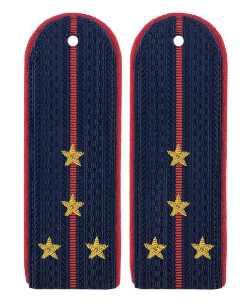 Погоны полиции китель картонные капитан золото