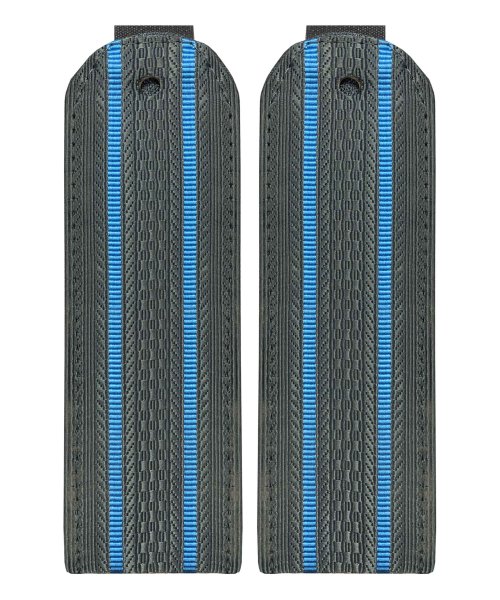 Погоны ФССП два просвета картон &mdash; 1