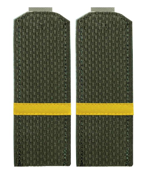 Погоны китель ВС ефрейтор
