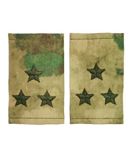 Фальшпогоны мох полковник &mdash; 1