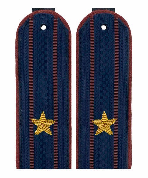 Погоны ФСИН майор золото