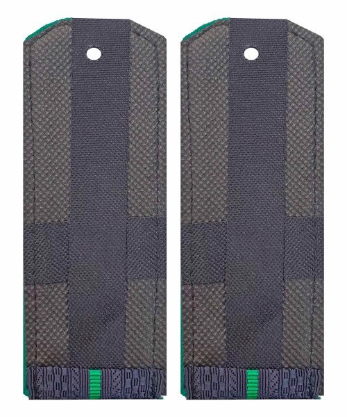 Погоны пограничных войск один просвет картонные &mdash; 2