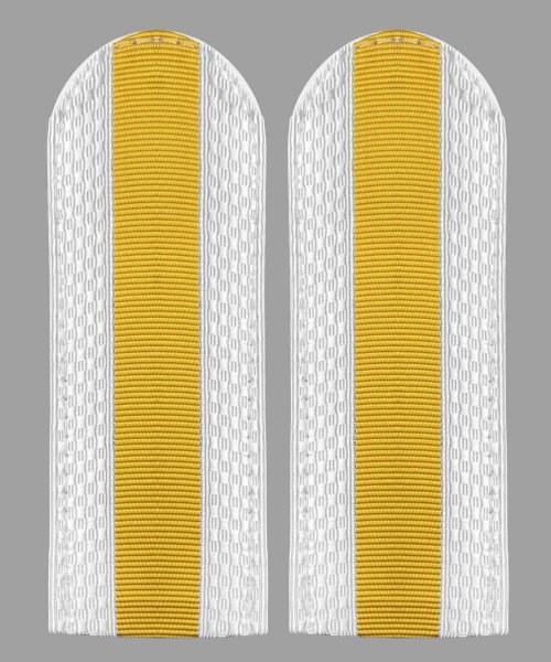 Погоны полиции белые старшина