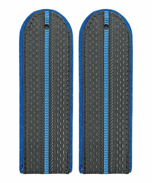 Погоны ФССП один просвет картон