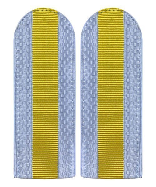 Погоны полиции голубые старшина