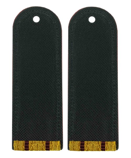 Погоны парадные ФСИН два просвета &mdash; 2