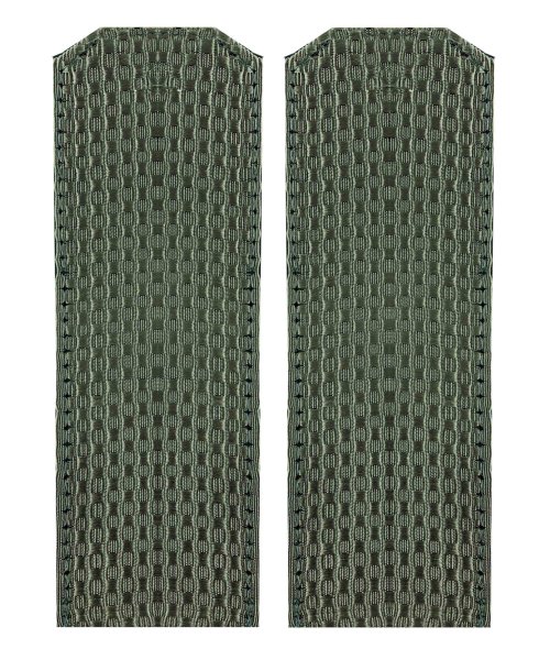 Погоны на рубашку ВВ рядовой