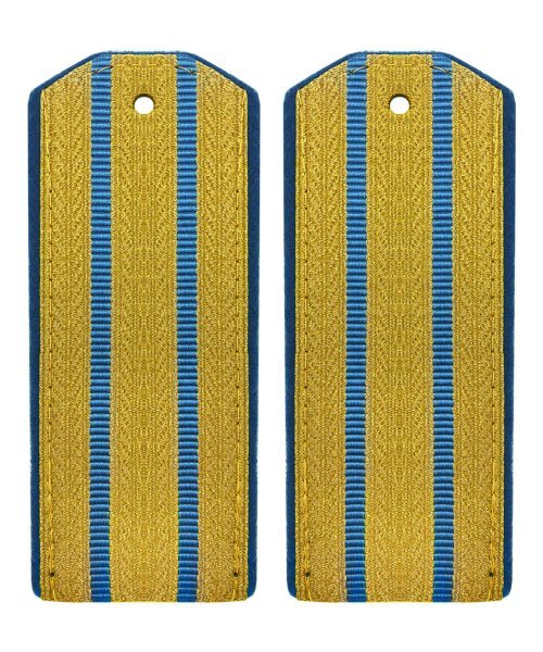 Погоны ВДВ парадные два просвета