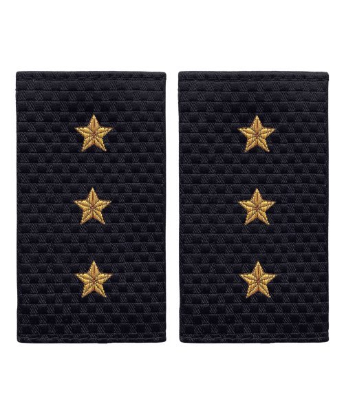 Фальшпогоны жаккардовые полиции старший прапорщик &mdash; 1