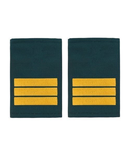 Фальшпогоны МЧС сержант &mdash; 1