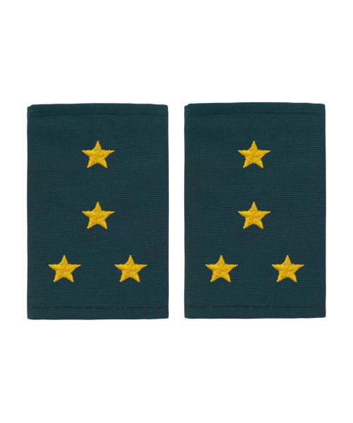 Фальшпогоны МЧС капитан &mdash; 1