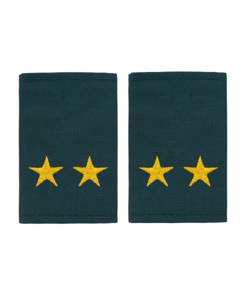 Фальшпогоны МЧС подполковник &mdash; 1