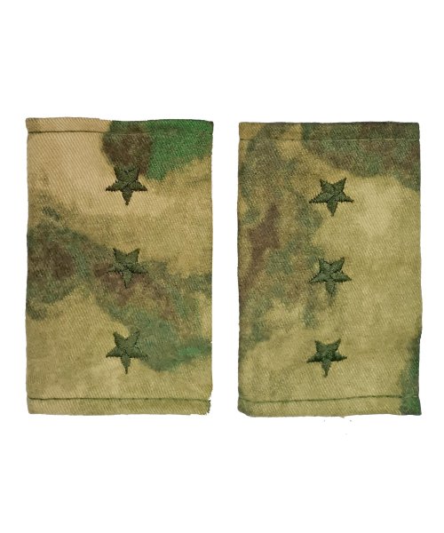 Фальшпогоны мох старший прапорщик &mdash; 1