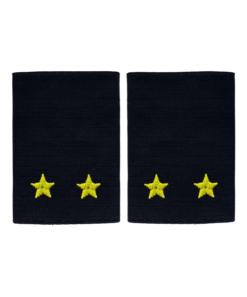 Фальшпогоны вышитые полиции лейтенант