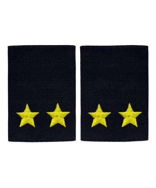 Фальшпогоны вышитые полиции подполковник &mdash; 1