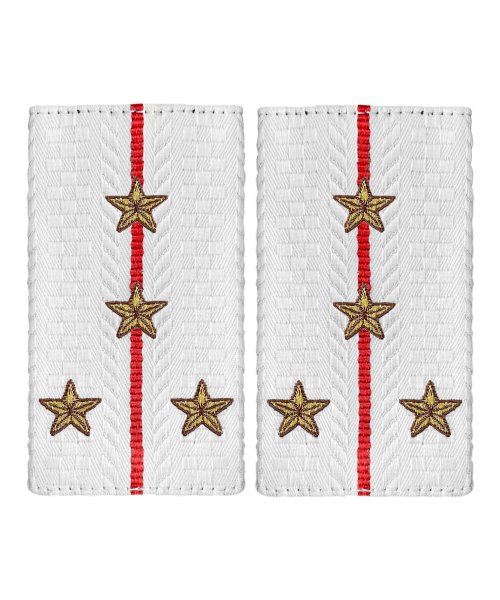 Фальшпогоны жаккардовые полиции белые капитан