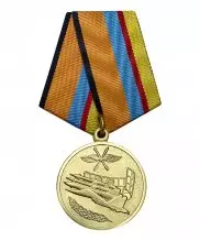 Превью Медаль МО "За службу в ВВС" — 1