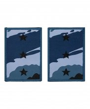 Превью Фальшпогоны КМФ береза старший прапорщик — 1