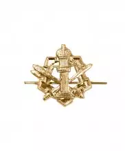 Эмблема ФСИН металлическая золото — 1