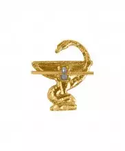 Эмблема медики золото нового образца (правая)