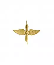 Превью Эмблема ВВС металлическая золото — 2