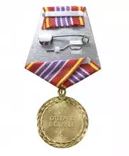 Превью Медаль ФСИН "За отличие в службе" 3 степени — 2