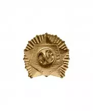 Значок металлический "Кадет-спортсмен" 1 степени — 2