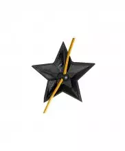 Звезда на погоны ФСИН черная 18 мм
