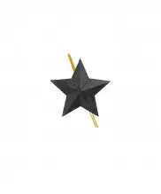 Звезда на погоны ФСИН черная 13 мм — 1