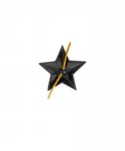 Звезда на погоны ФСИН черная 13 мм